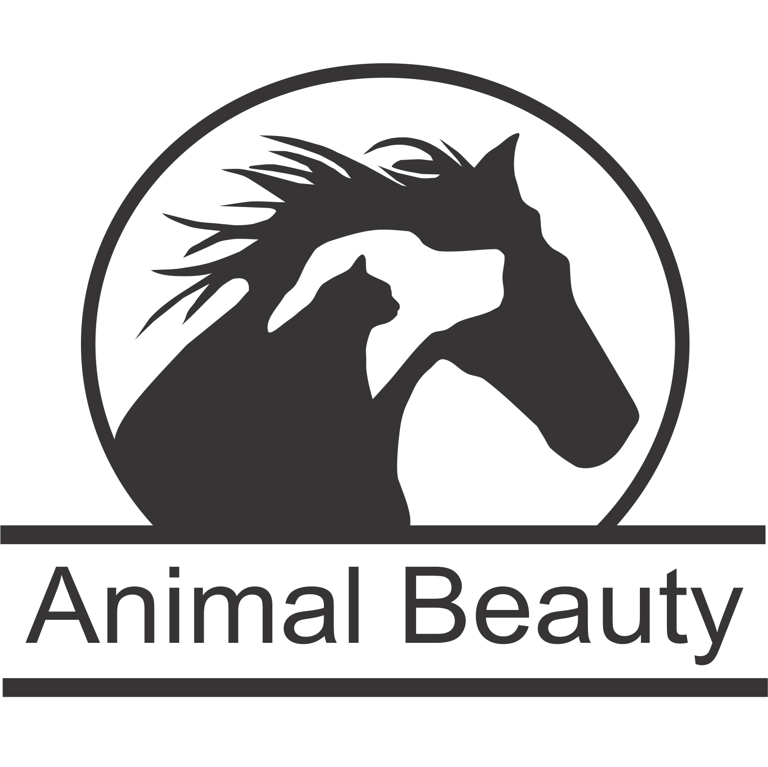 PET – CCBeauty